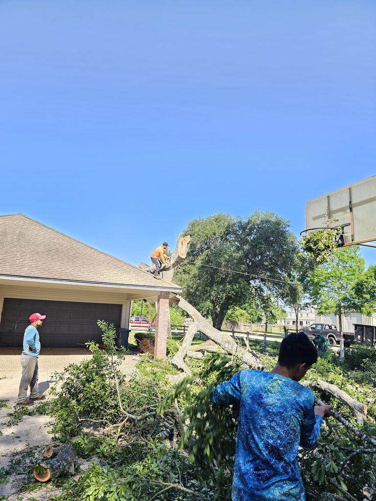 Roberts Tree Service team at work in Austin