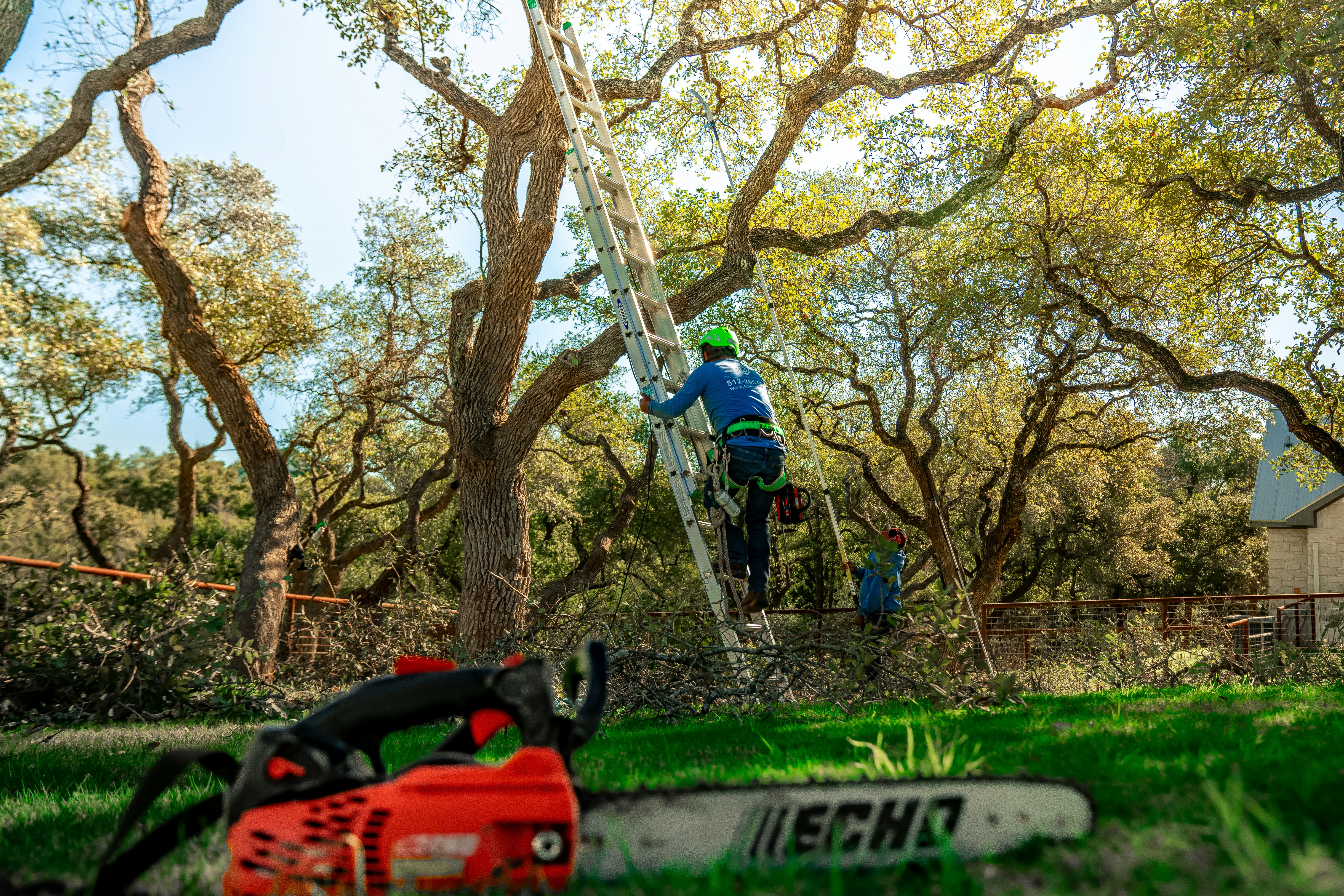 Landscaping services Austin