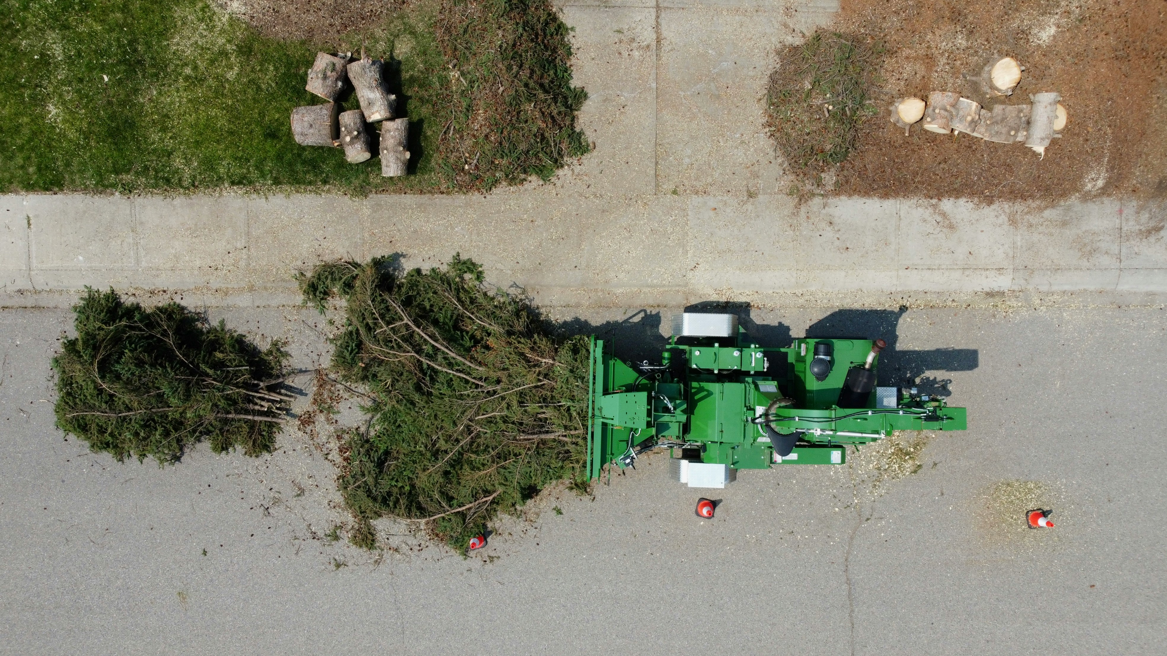 Stump grinding service Austin